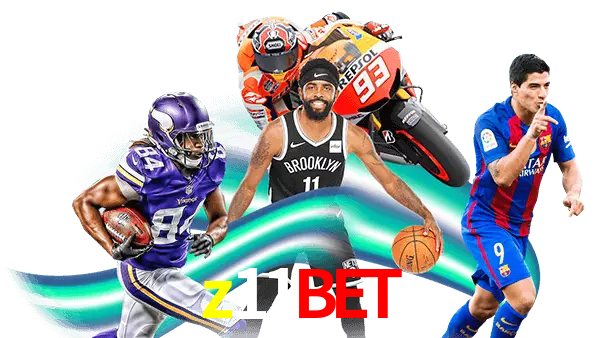 z11bet